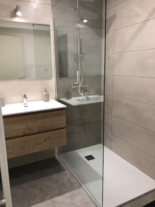 Appartement Moderne & Lumineux 40M2 Centre Luxeuil Buitenkant foto