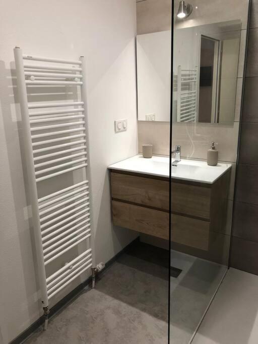 Appartement Moderne & Lumineux 40M2 Centre Luxeuil Buitenkant foto